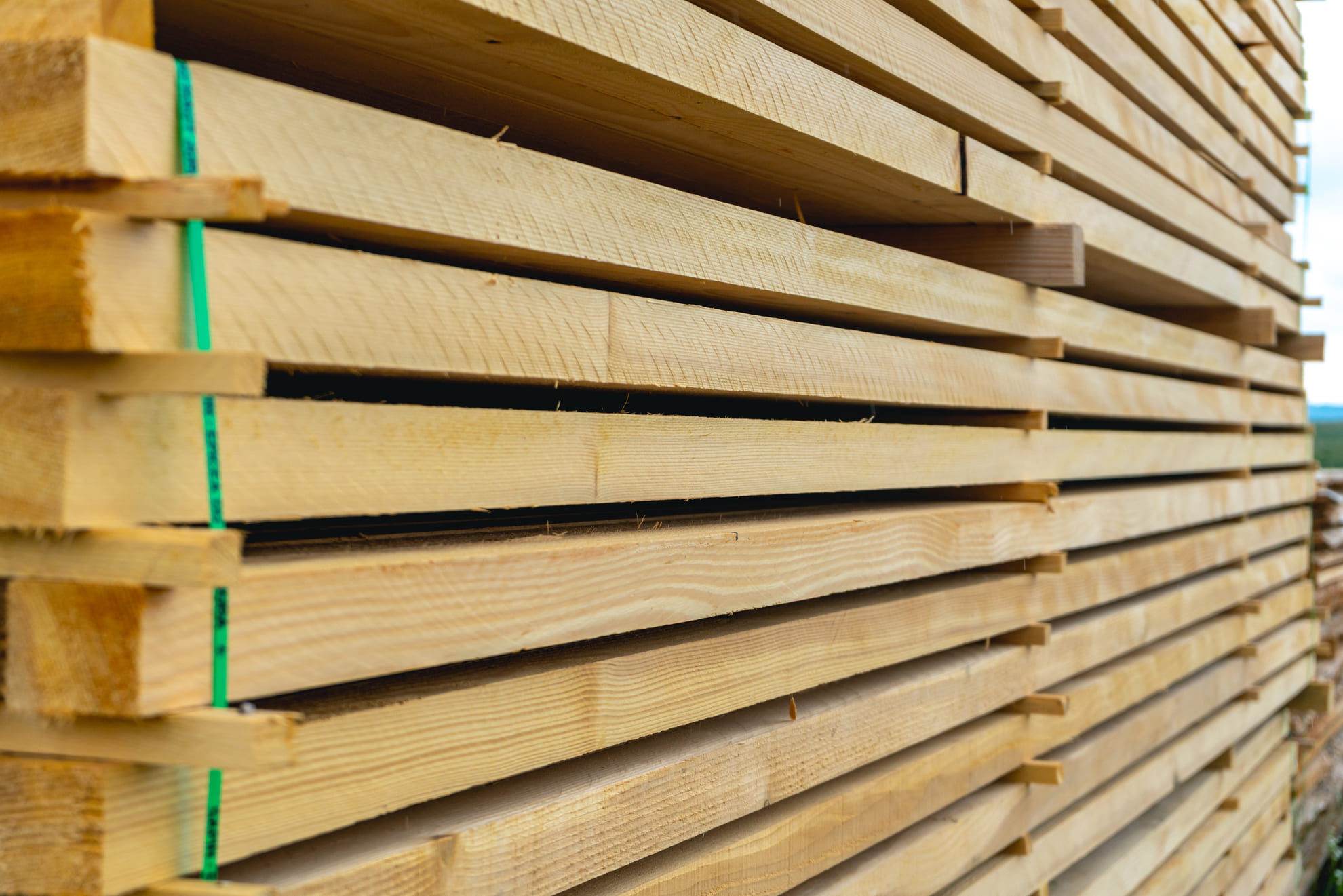 A complete range of sawn timber - [EN] - Scierie Lorin